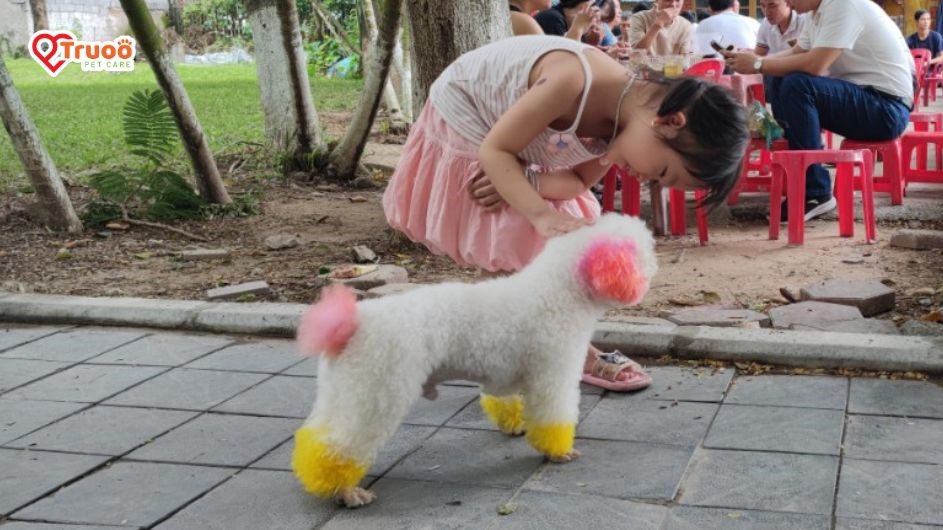 Sự kiện chào đòn đông đảo người tham dự yêu thích chó mèo