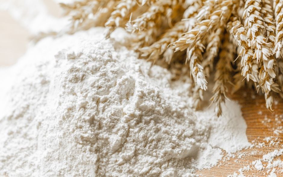 Phần lớn các thức ăn thú cưng đều có chứa bột mì