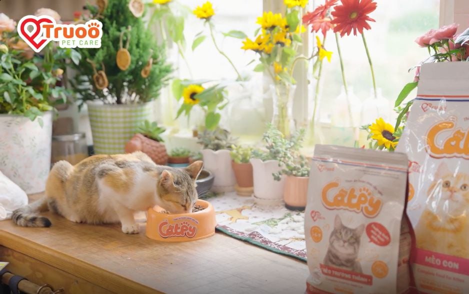 Sản phẩm của Truoo Pet Care an toàn, sử dụng nguyên liệu rõ nguồn gốc