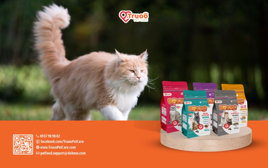 Thức ăn cho mèo DeFine có hơn 90% protein được làm từ thịt gà, cá, tôm