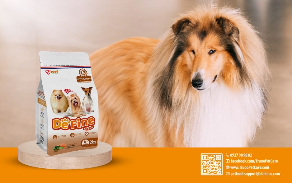 DeFine Da khoẻ lông mượt giúp chó tăng sức đề kháng, bổ sung dinh dưỡng chống viêm da, hỗ trợ lông óng mượt 