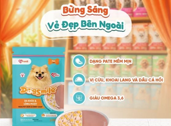 thuc-an-uot-cho-cho-dogsmile