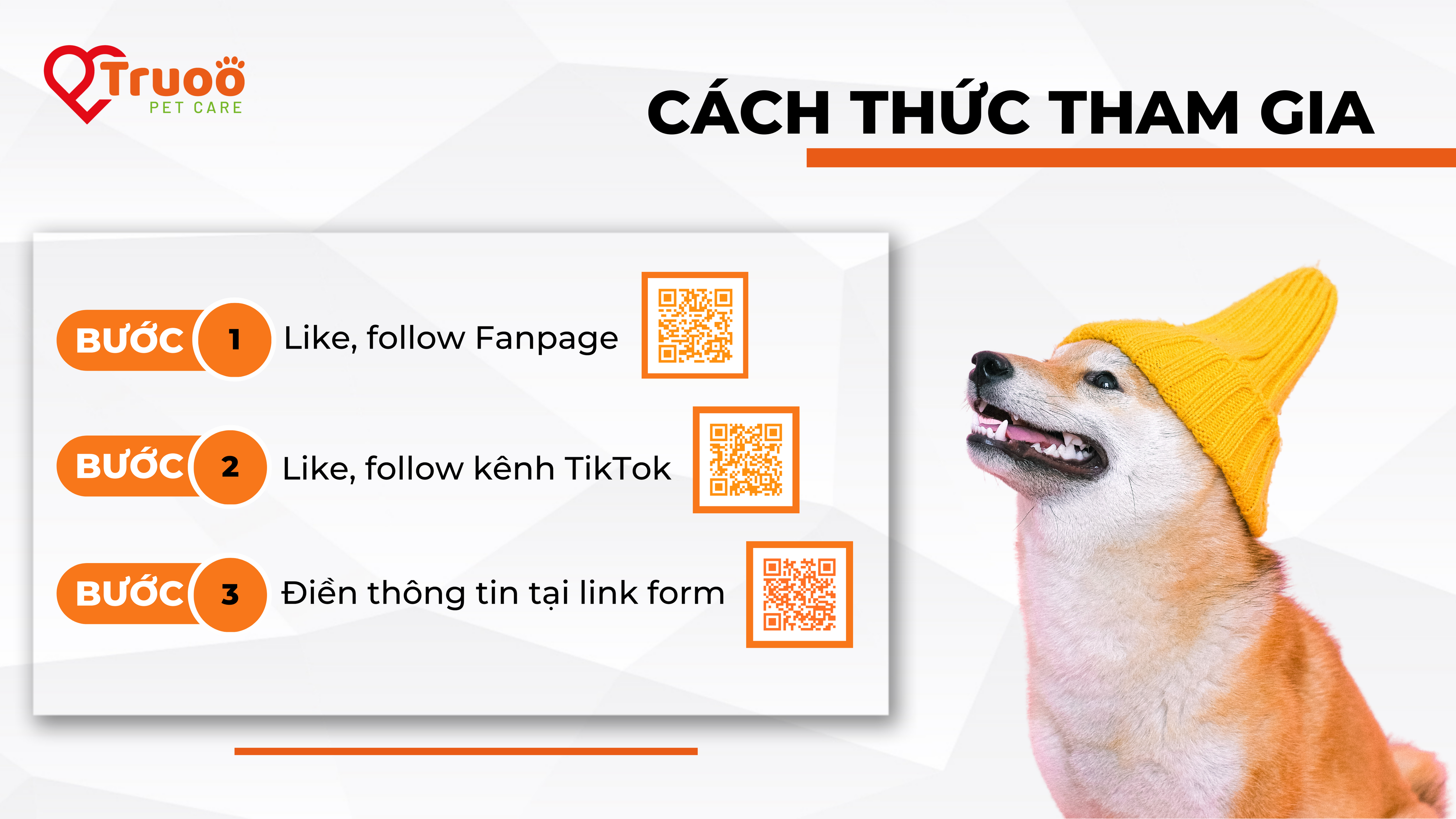 Hình nền Nền Chó Cưng Nhận Cưng Cưng ở Ngoài Trời Nền Vật Nuôi Cún Yêu  Corgi Background Vector để tải xuống miễn phí  Pngtree