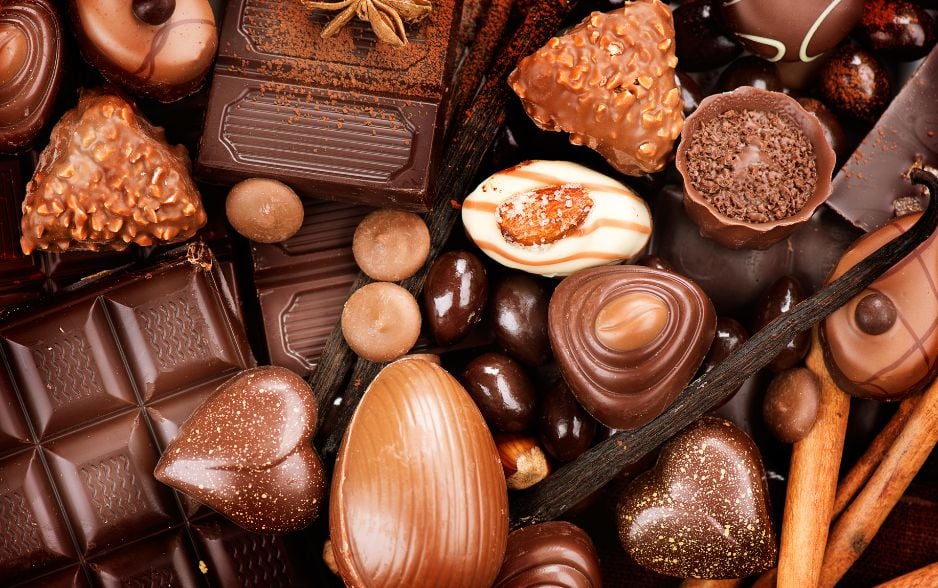 Socola là thức ăn độc hại đối với mèo