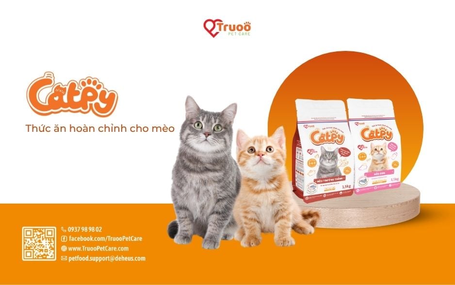 Thức ăn cho mèo Catpy có hai dòng: Catpy trưởng thành và Catpy mèo con