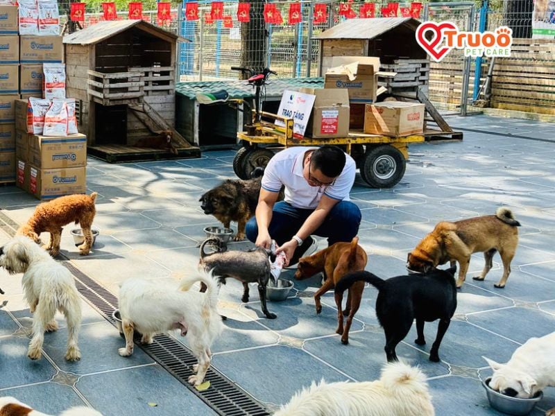 san-nha-nhieu-cho-cung-truoo-pet-care