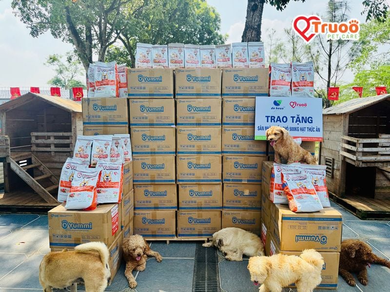 san-nha-nhieu-cho-va-truoo-pet-care