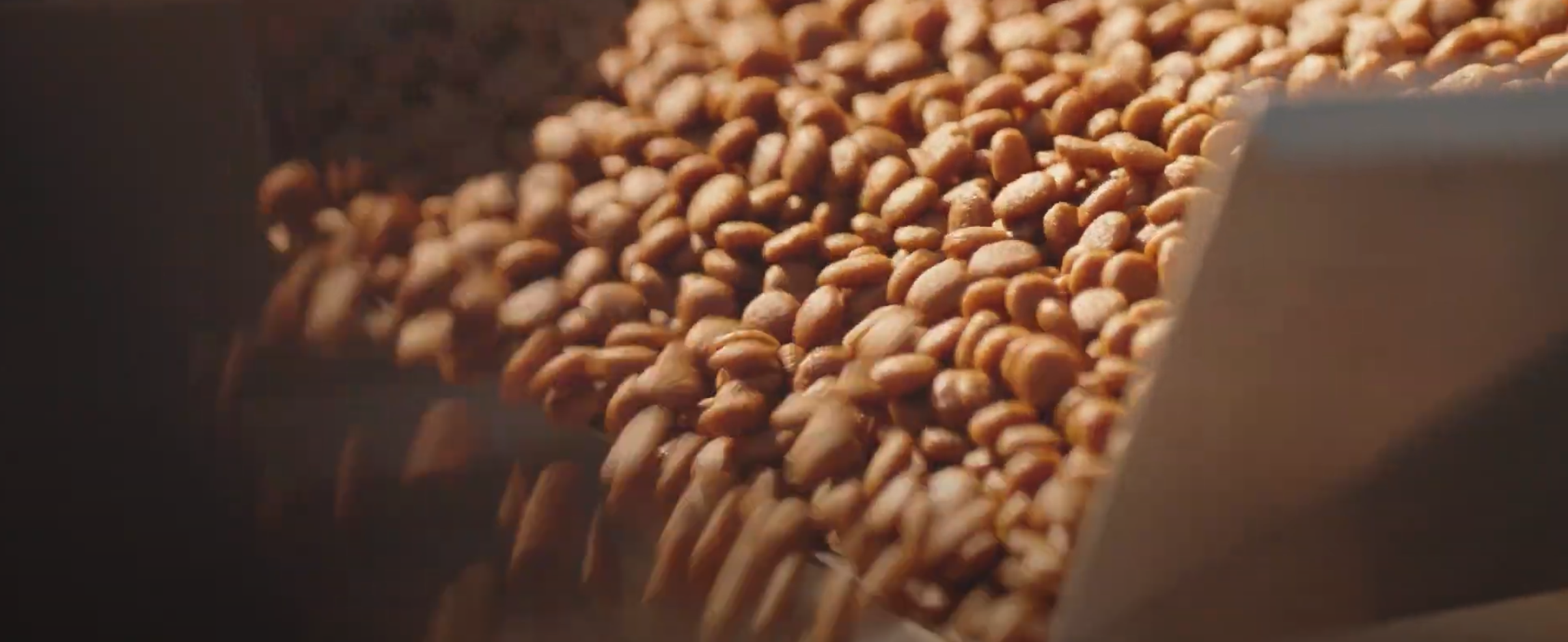 Sản phẩm của Truoo Pet Care được chứng nhận là sản phẩm an toàn và hoàn chỉnh