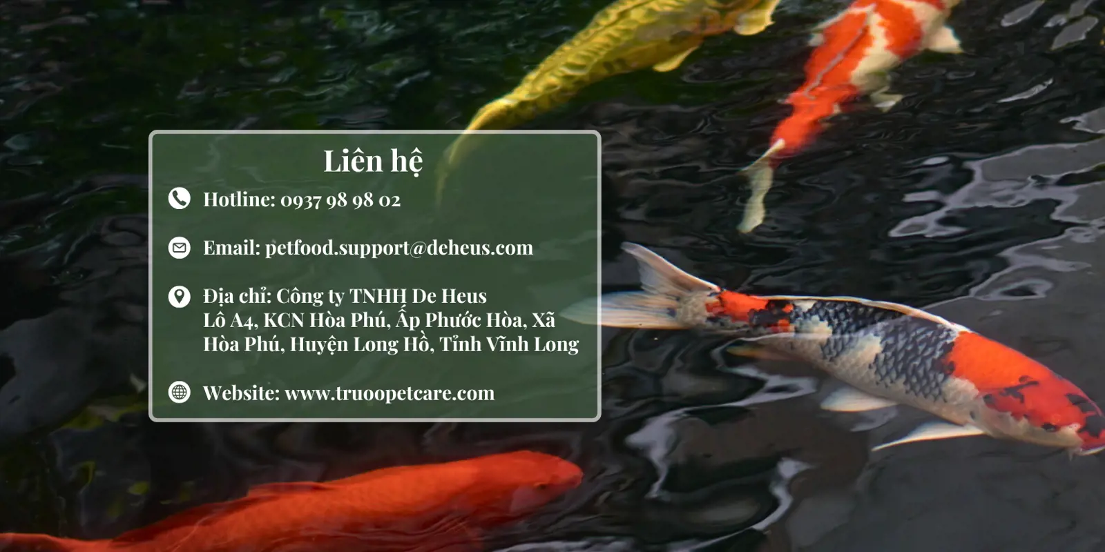Liên hệ | Nishiki Goi
