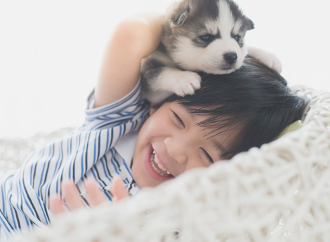 Sự kết nối yêu thương giữa trẻ em và dộng vật