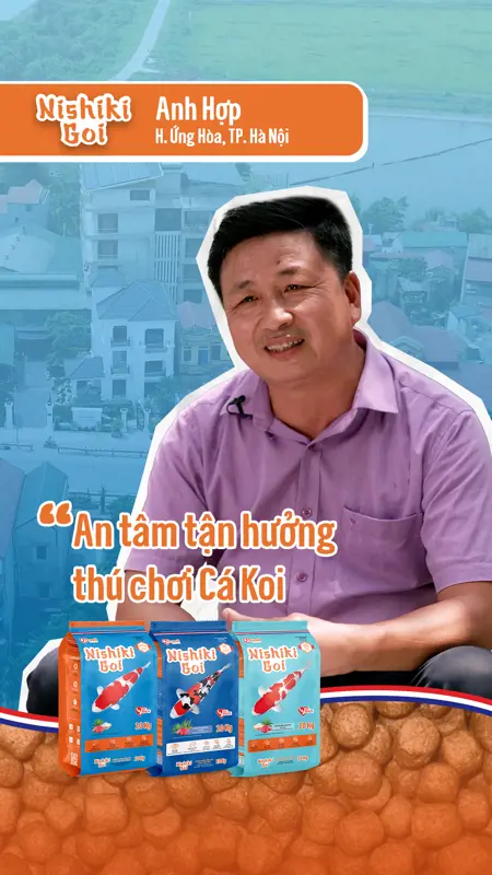 Anh Hợp testimonial