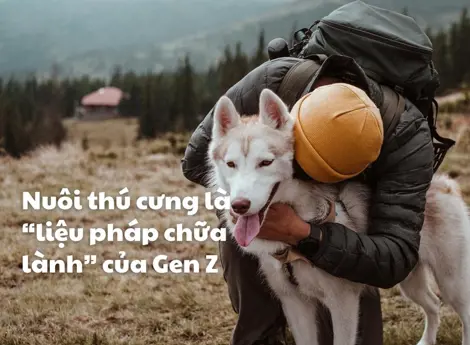 Khi nuôi thú cưng là “liệu pháp chữa lành” của Gen Z